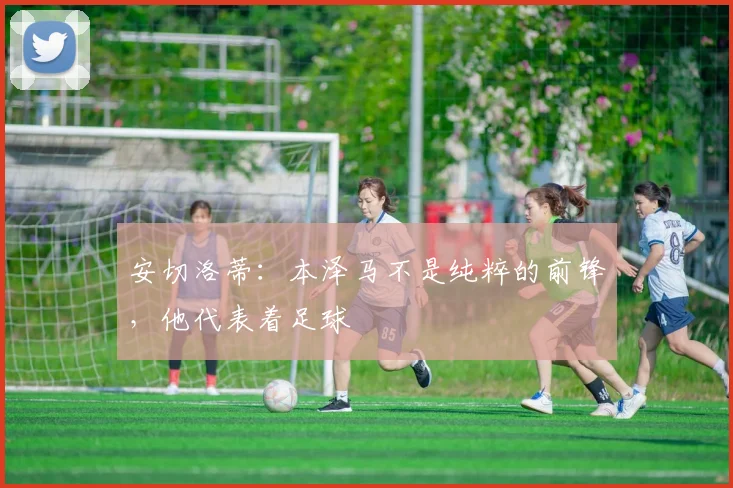 安切洛蒂：本泽马不是纯粹的前锋，他代表着足球
